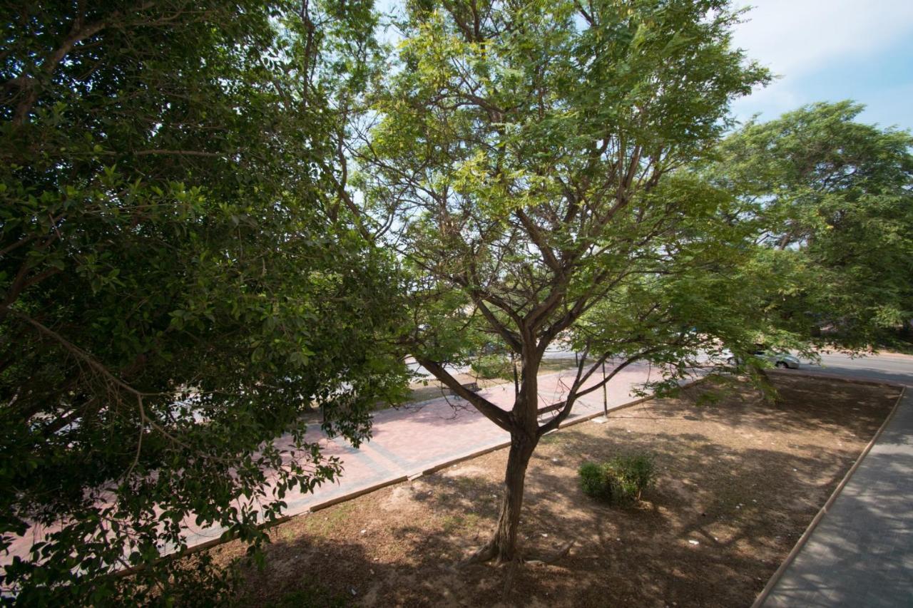 113 Beach And Trees - Alicante Holiday Torrevieja Exteriér fotografie