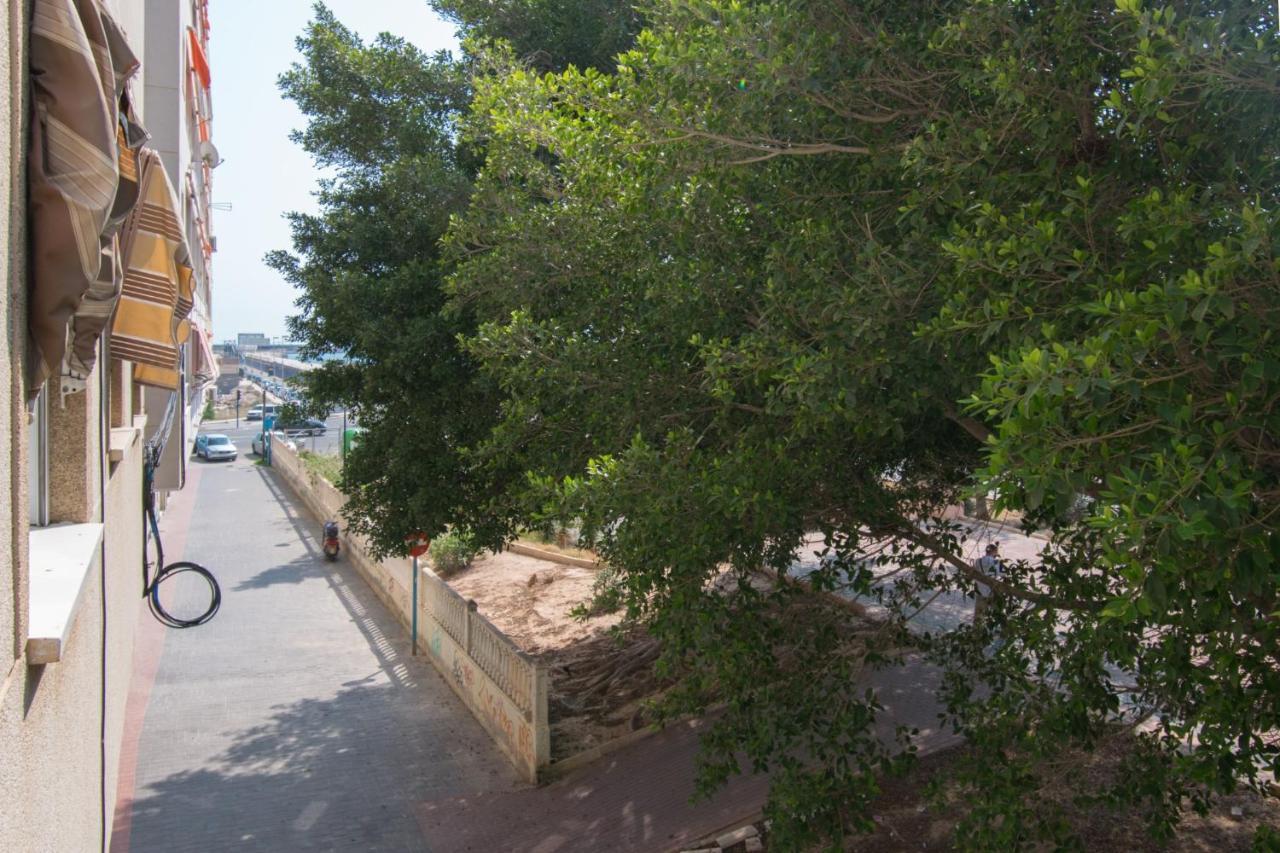 113 Beach And Trees - Alicante Holiday Torrevieja Exteriér fotografie