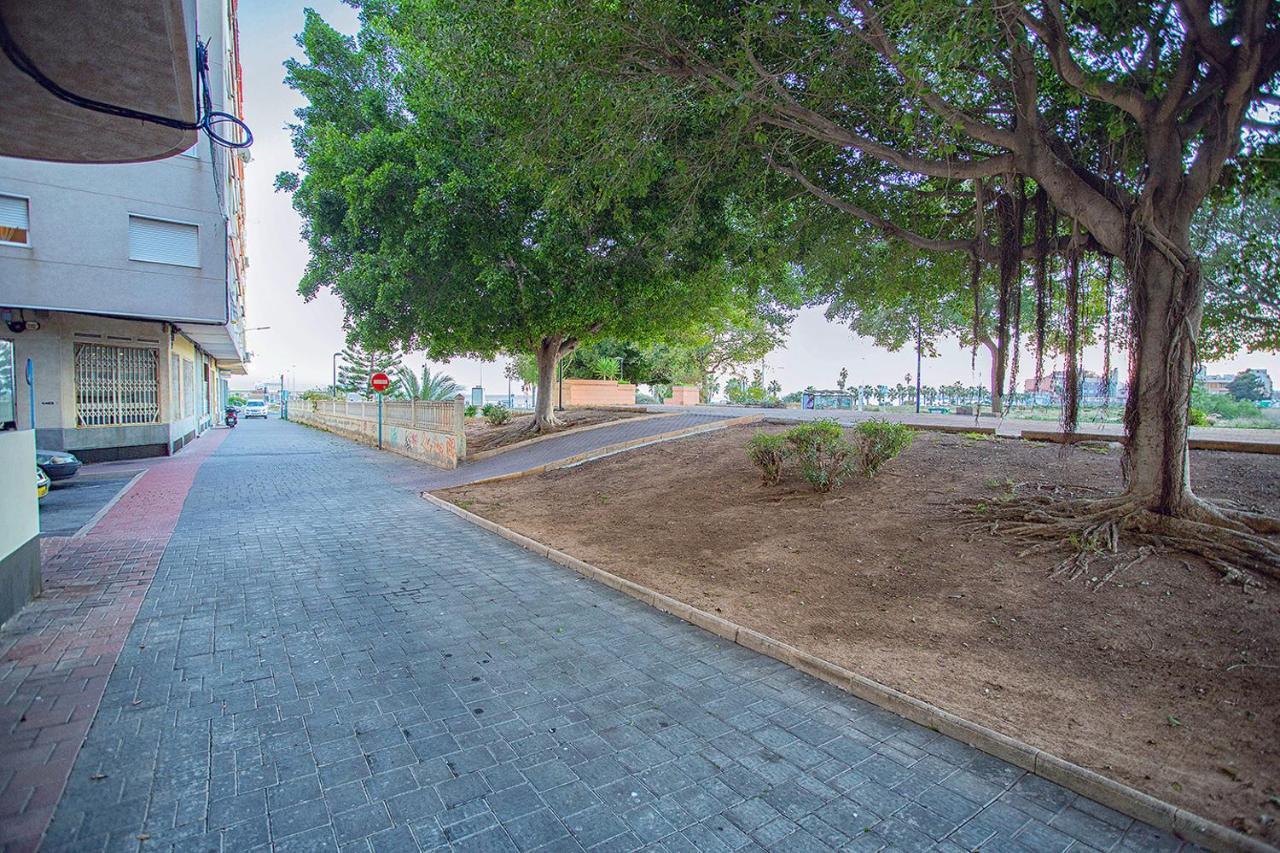 113 Beach And Trees - Alicante Holiday Torrevieja Exteriér fotografie